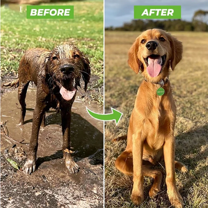 The Ultimate Dog Washer