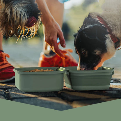 Fold-and-Go Duo Pet Bowl