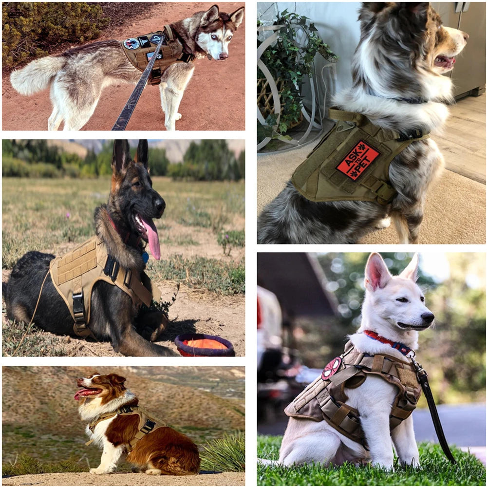 K9 Adjustable Dog Vest