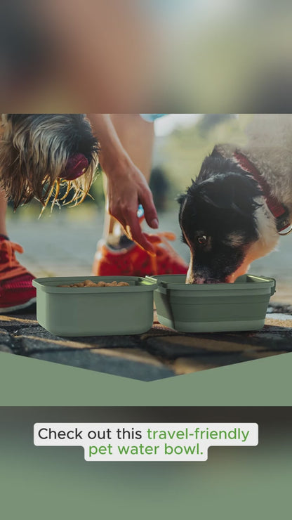 Fold-and-Go Duo Pet Bowl