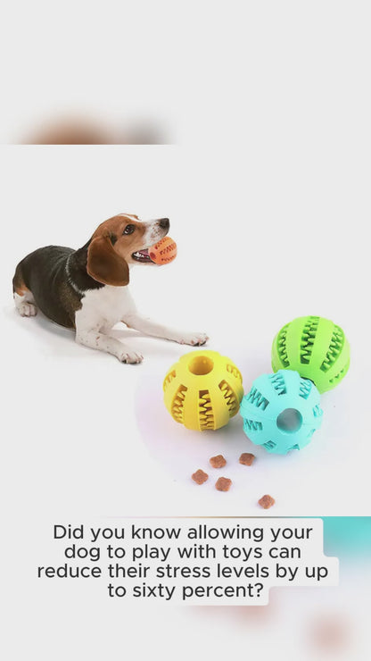 Chew Joy ball